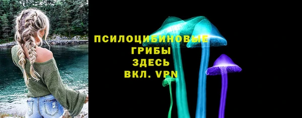 прущая мука Гусиноозёрск