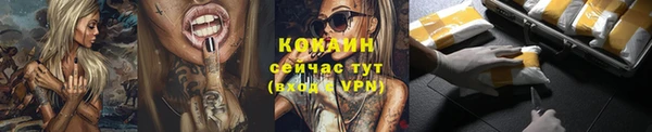 МДПВ Горно-Алтайск